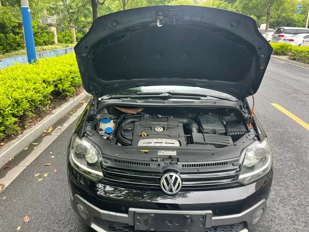 Volkswagen Golf (Import) 1.4TSI Cross Golf, фото 13