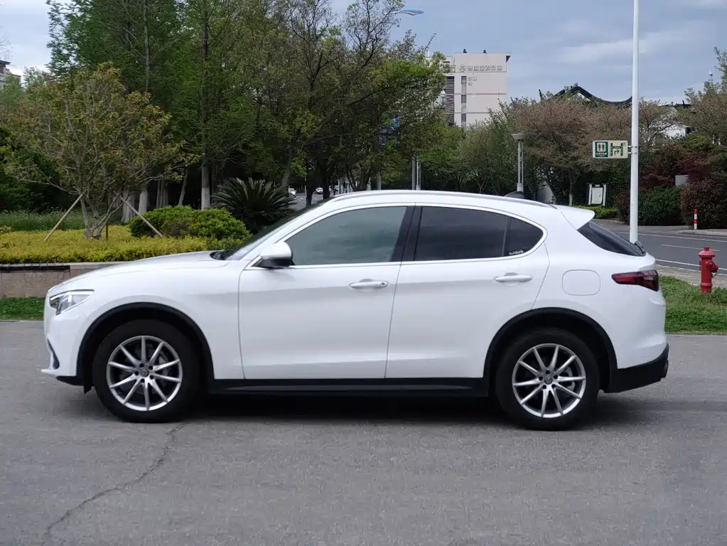 Alfa Romeo Stelvio 2.0T 200HP Luxury Edition, фото 4