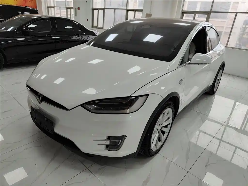 Tesla Model X 2019