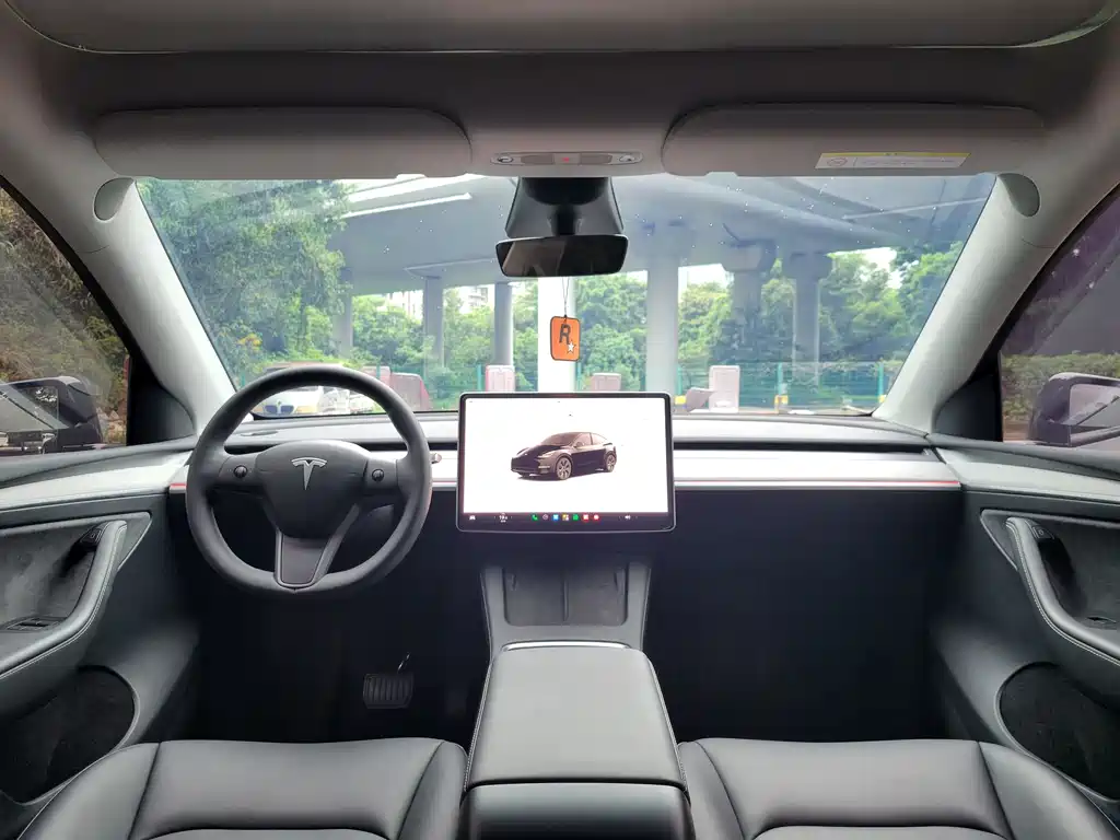 Tesla Model Y — миниатюра 19