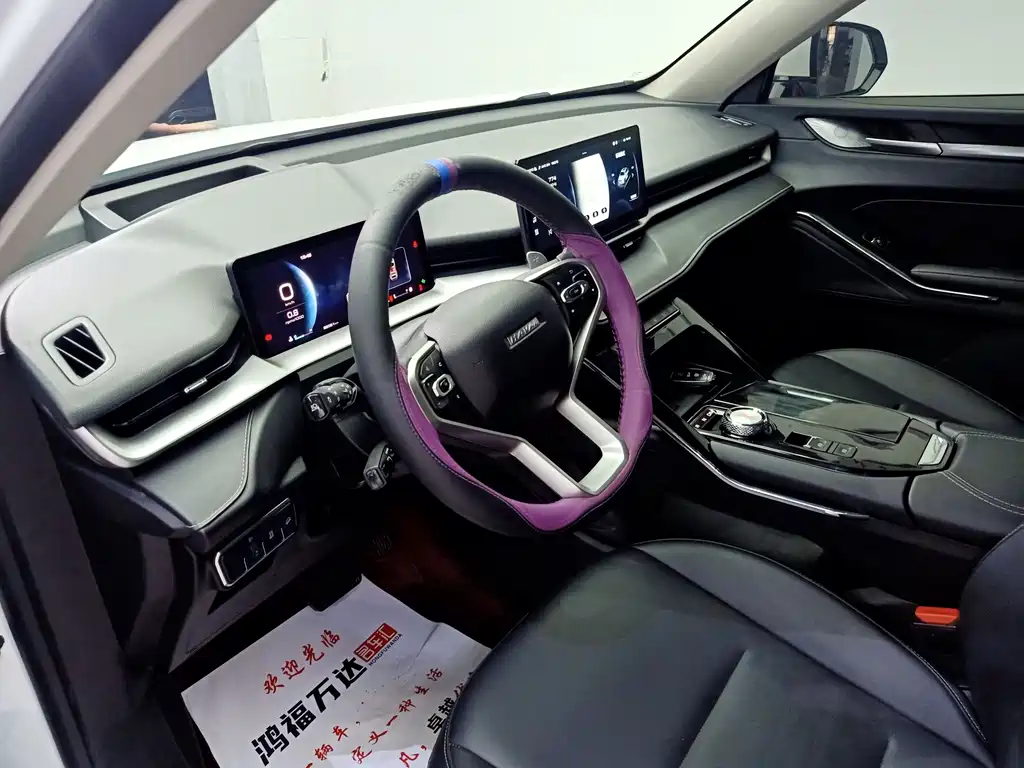 Haval H6 — миниатюра 8