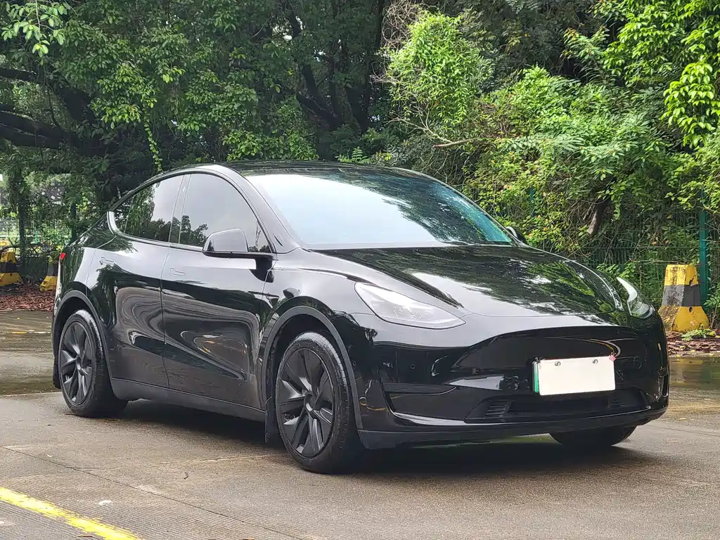 Tesla Model Y — миниатюра 3