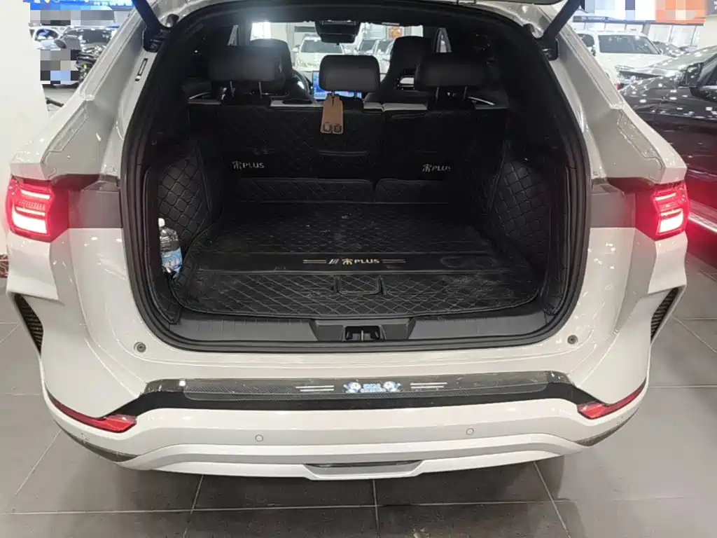 BYD PLUS New Energy — миниатюра 19