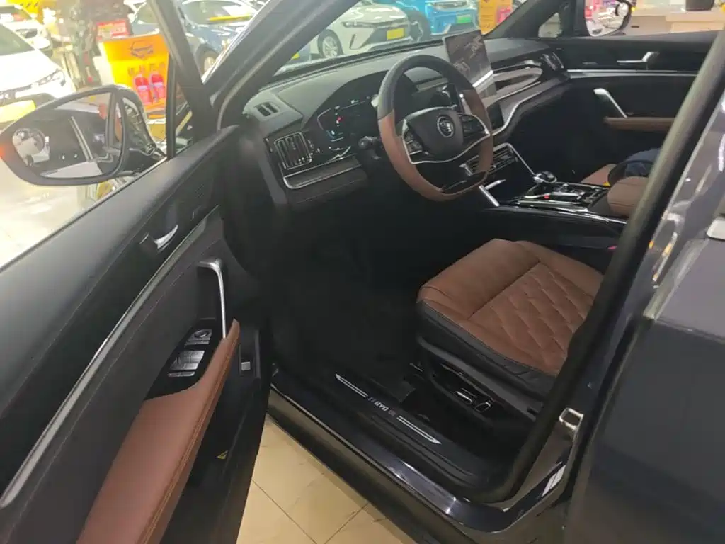 BYD Tang New Energy — миниатюра 15
