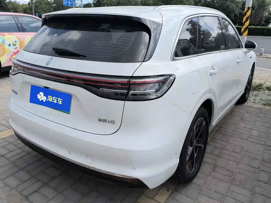 Сангтан Sangtang H5 — миниатюра 3