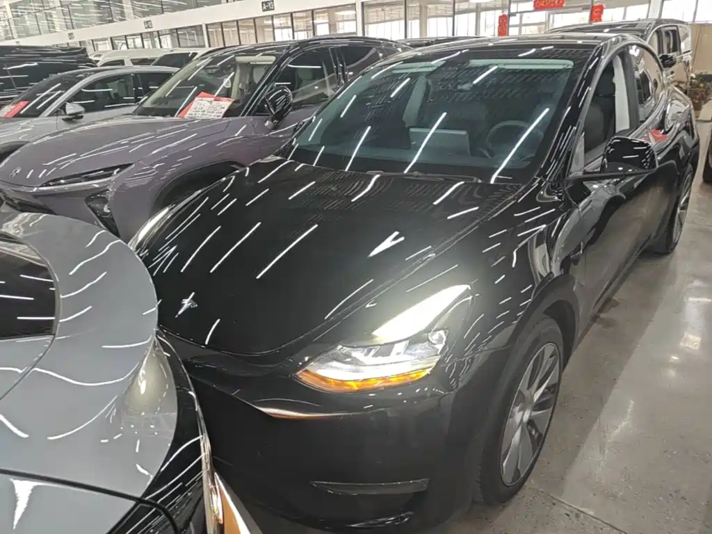 Tesla Model Y — миниатюра 3