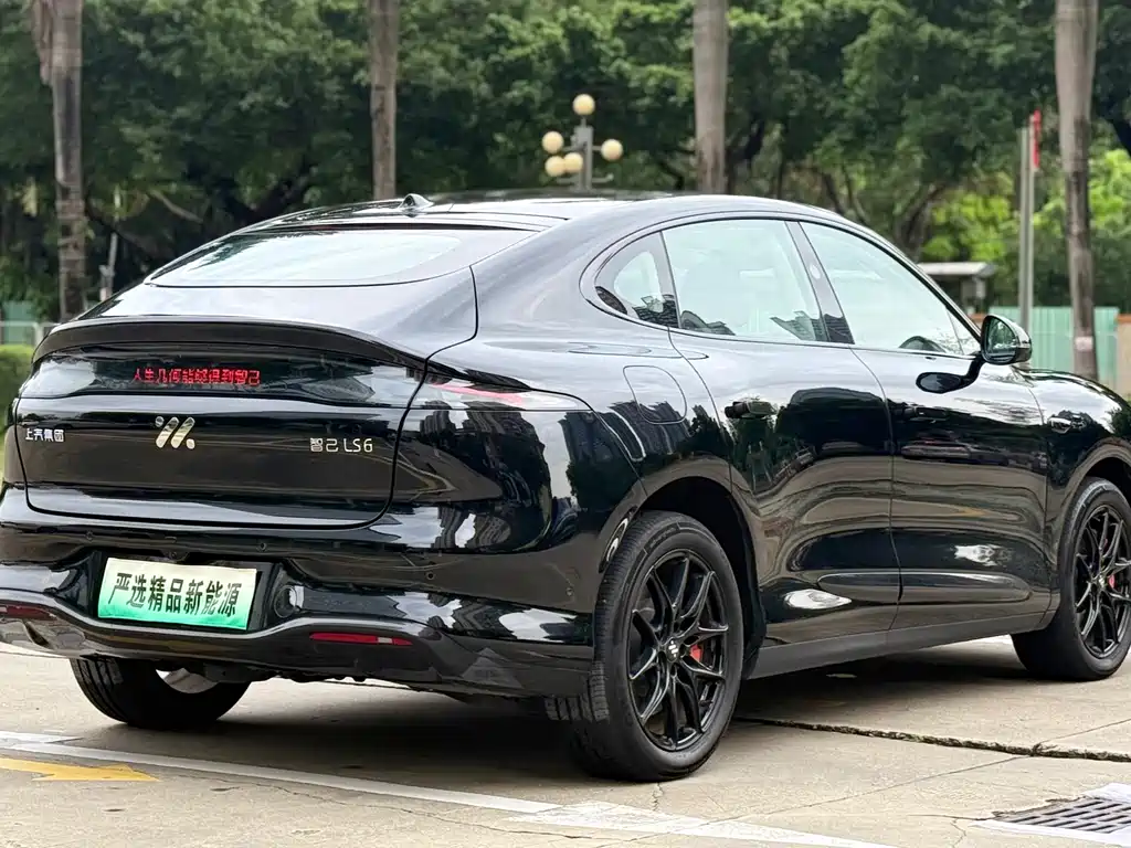 IM IM LS6 — миниатюра 25