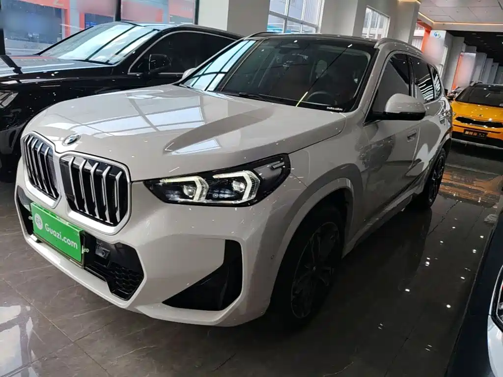 BMW X1 — миниатюра 2