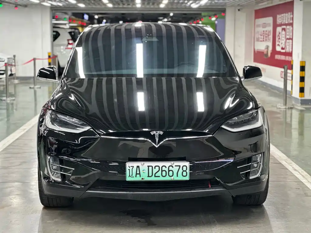 Tesla Model X — миниатюра 3