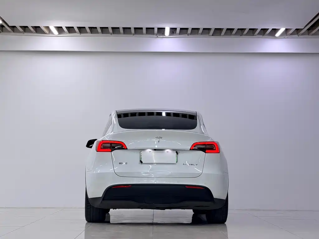 Tesla Model Y — миниатюра 12