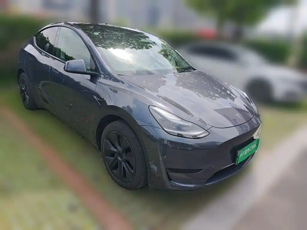 Tesla Model Y — миниатюра 24