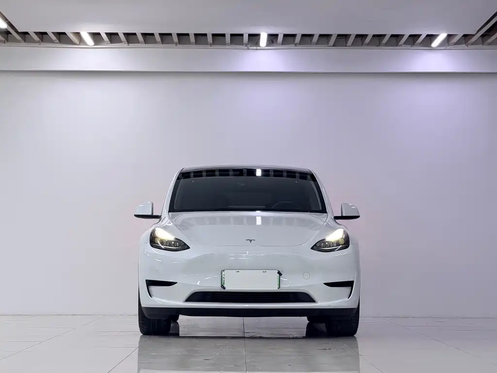 Tesla Model Y — миниатюра 2