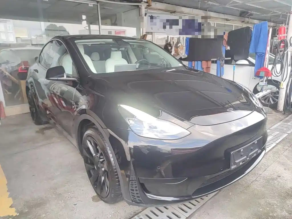 Tesla Model Y — миниатюра 4