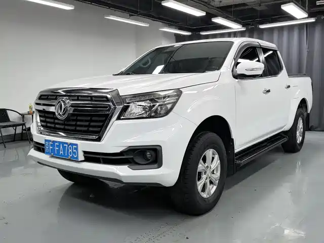 dongfeng ruiqi-6