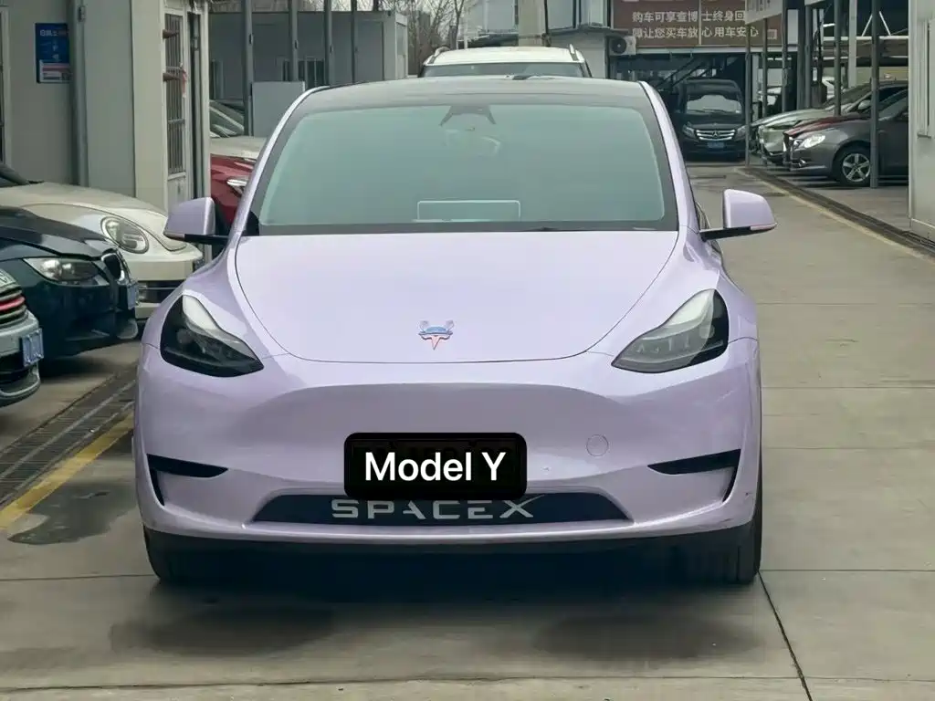 Tesla Model Y — миниатюра 2