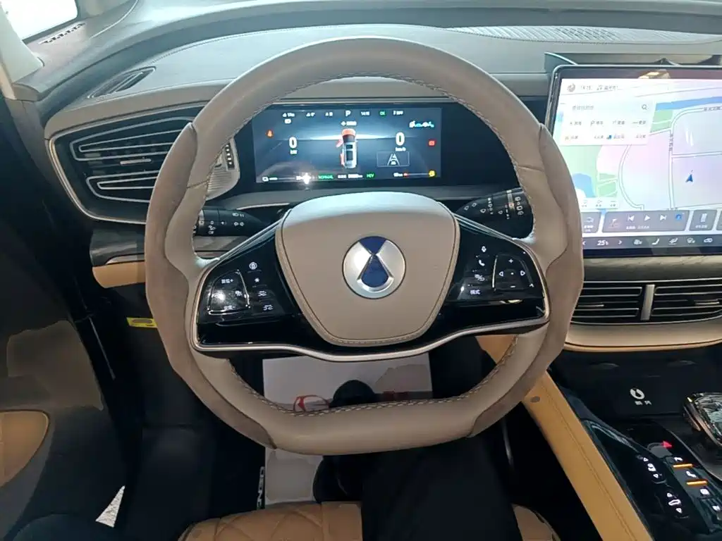 Denza Denza D9 — миниатюра 11