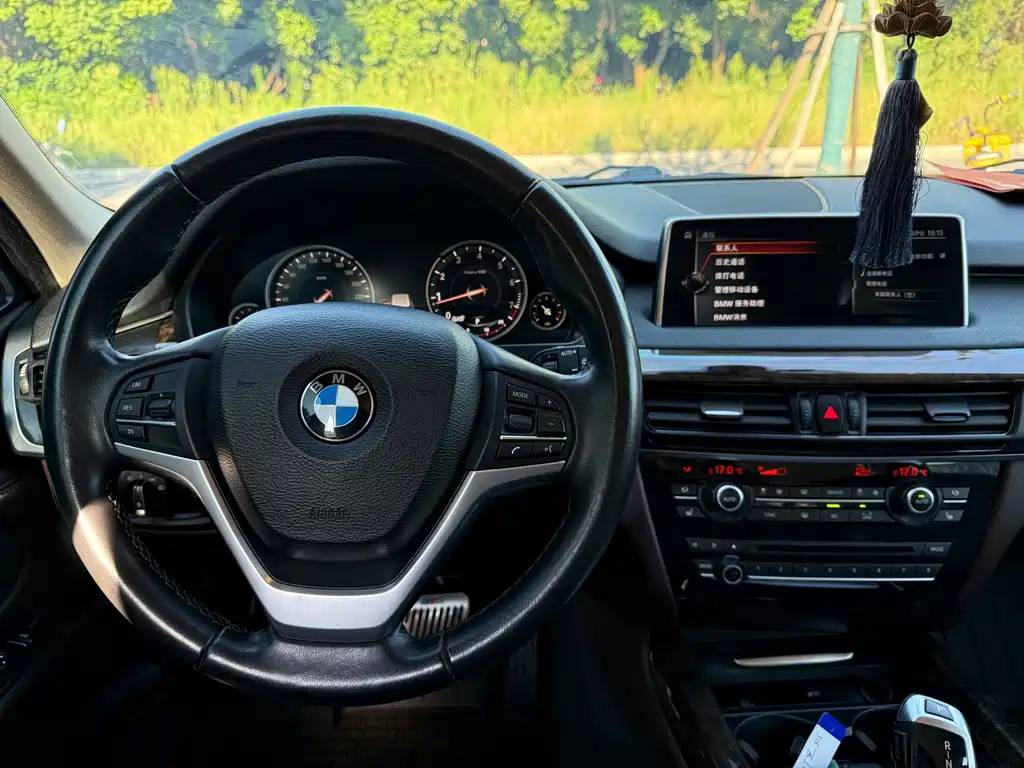 BMW X5 (Import) — миниатюра 13