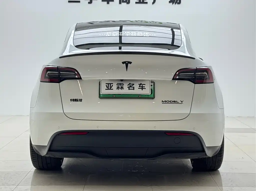 Tesla Model Y — миниатюра 3