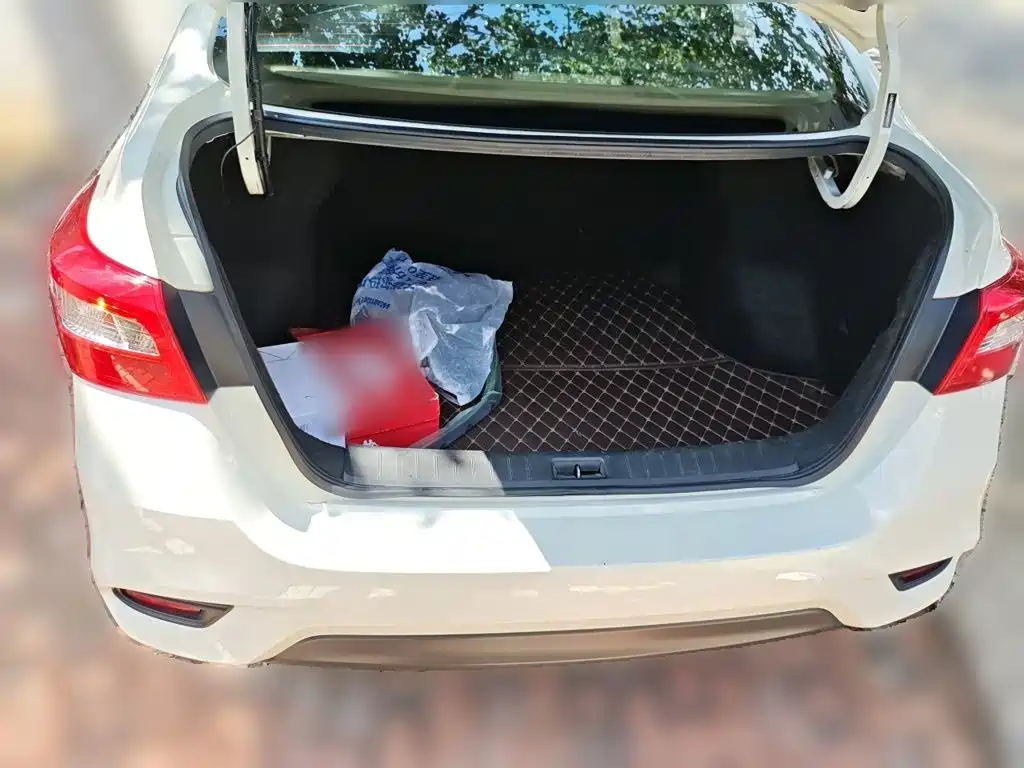 Nissan Sylphy — миниатюра 20