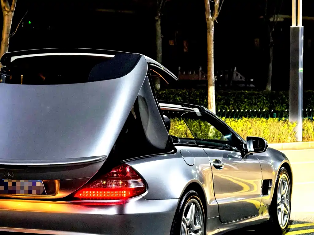 Mercedes-Benz SL 2010 SL 300