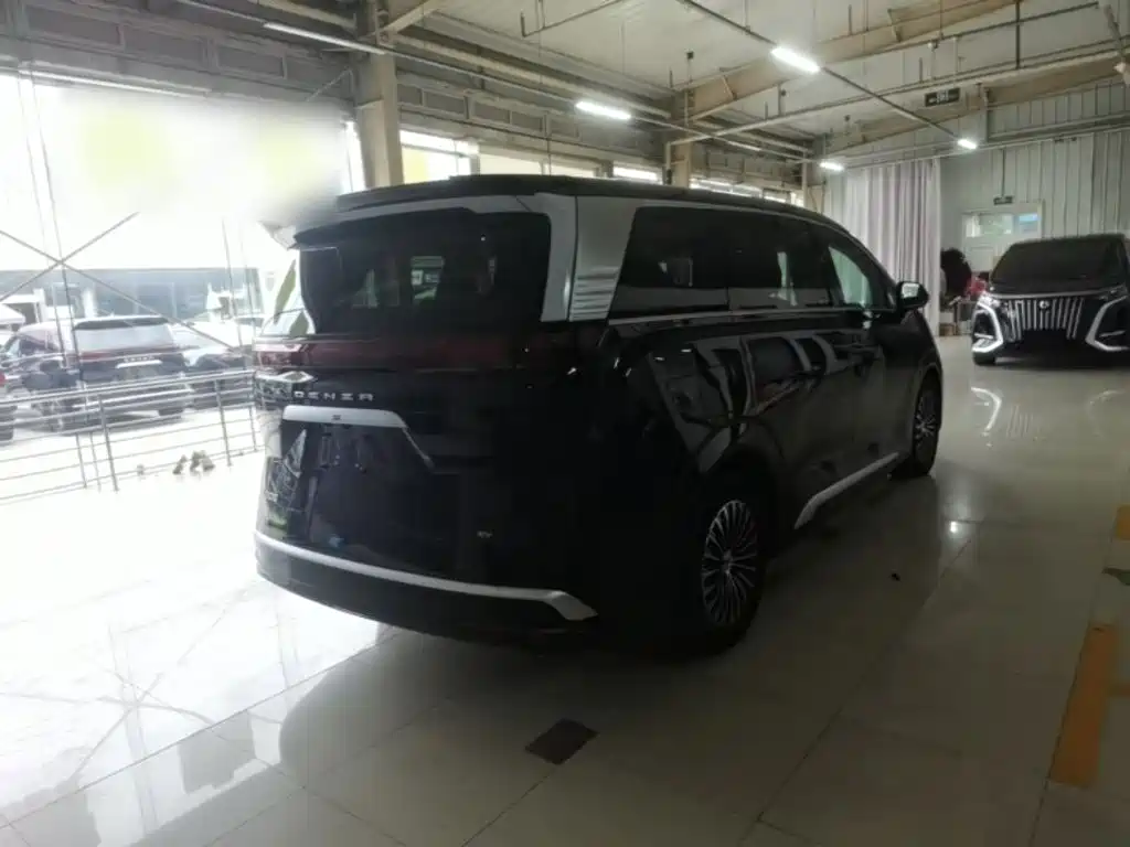 Denza Denza D9 — миниатюра 7