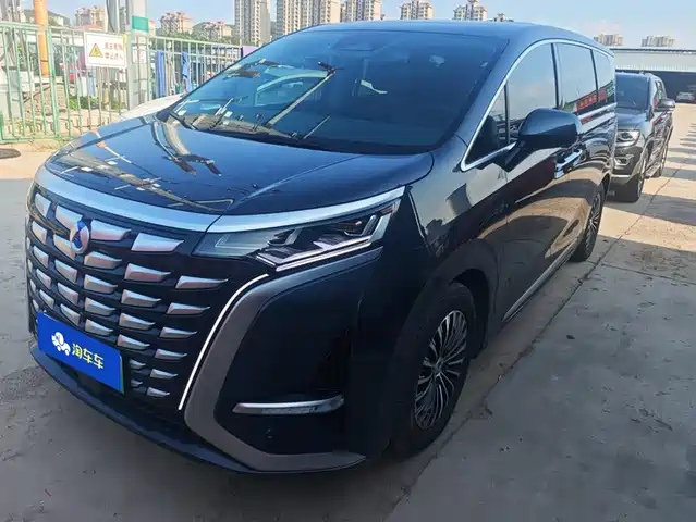 2023 Denza D9