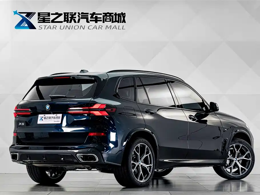 BMW X5 — миниатюра 6