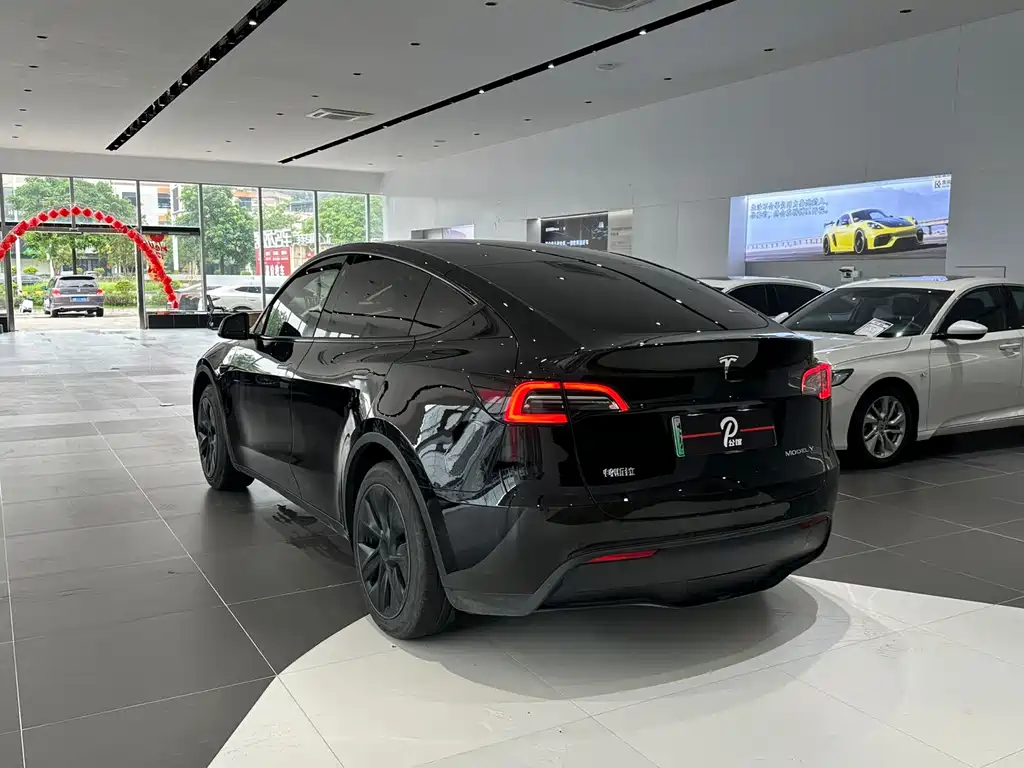 Tesla Model Y — миниатюра 3