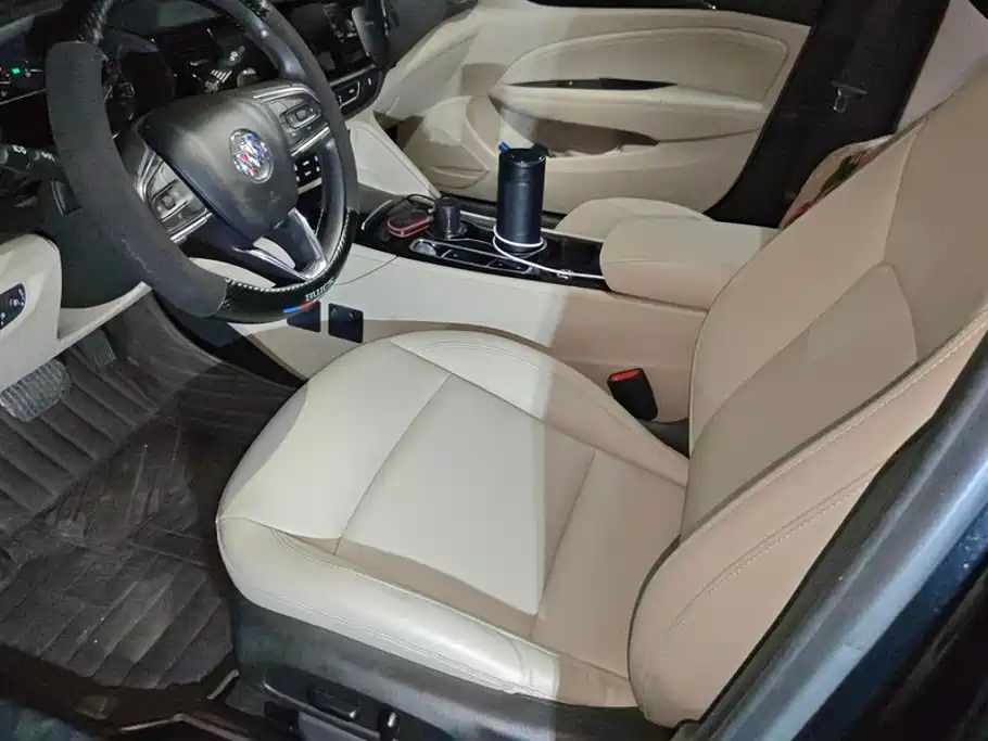 Buick Regal — миниатюра 9