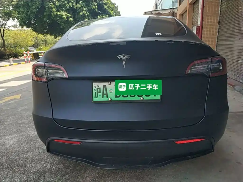 Tesla Model Y — миниатюра 6
