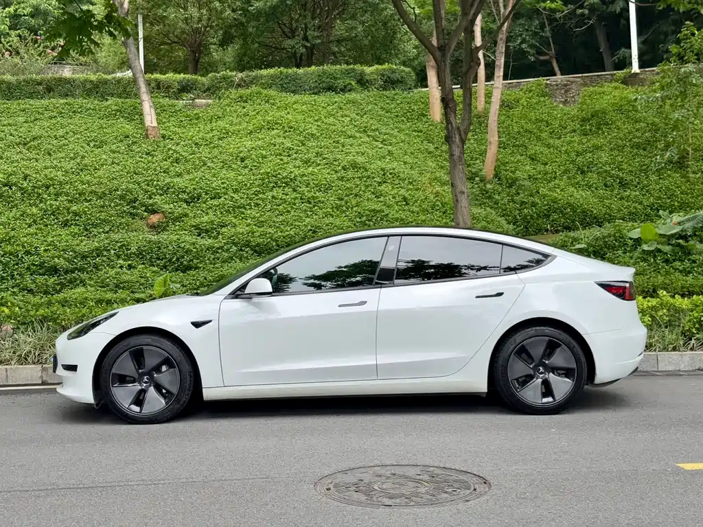 Tesla Model 3 — миниатюра 3