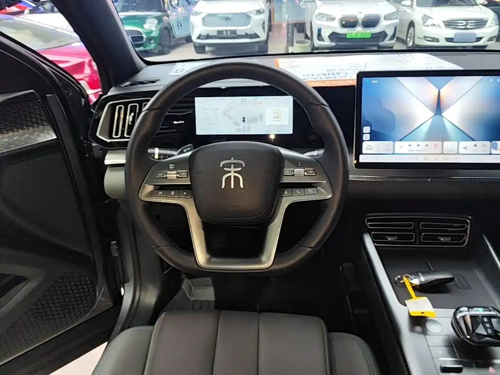 BYD Pro New Energy — миниатюра 11