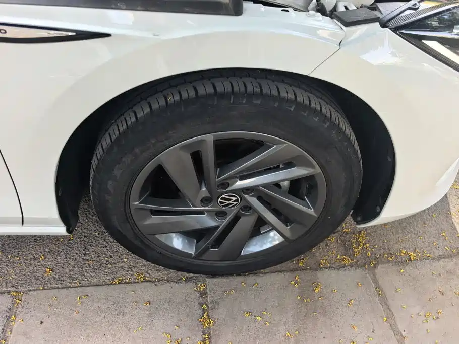 Volkswagen Lamando — миниатюра 6