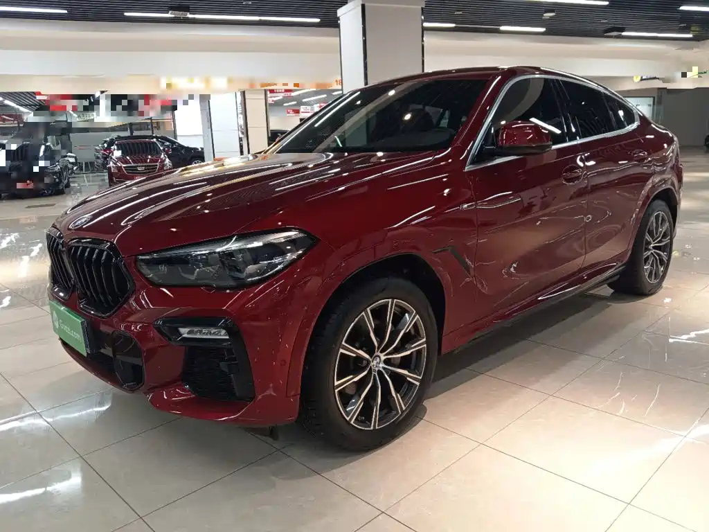 BMW X6 — миниатюра 2