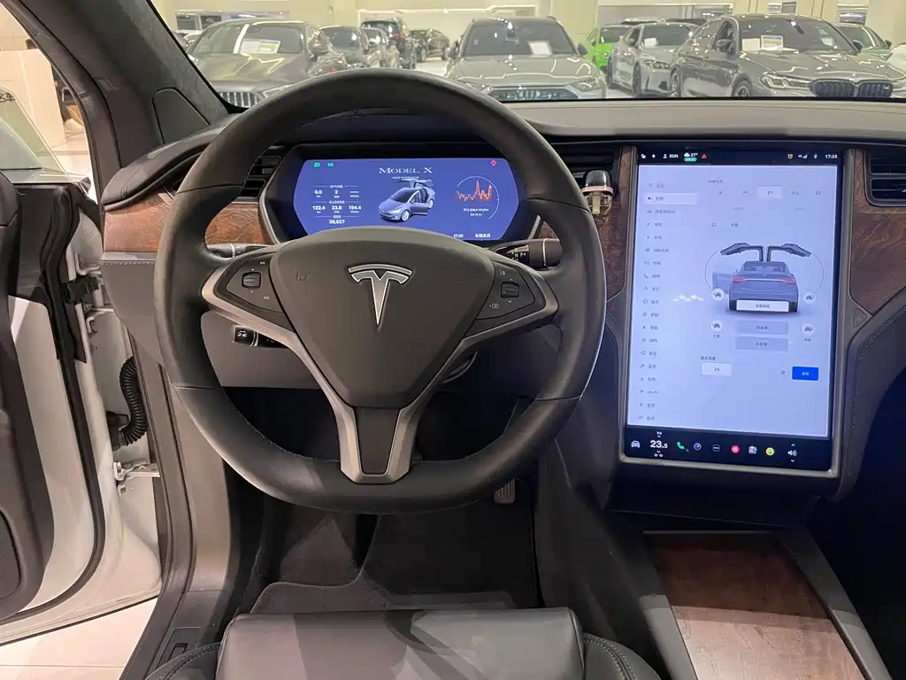 Tesla Model X — миниатюра 11