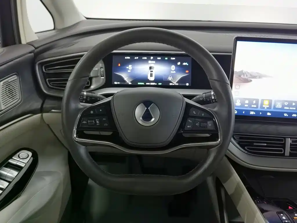 Denza Denza D9 — миниатюра 11