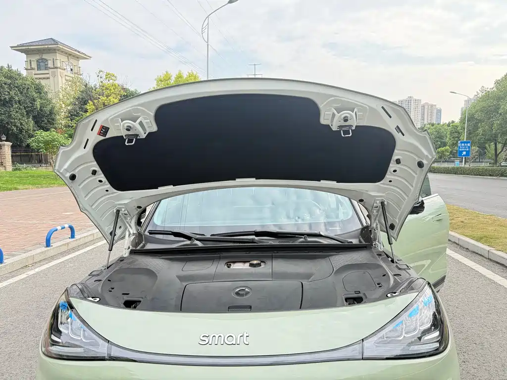 smart Smart #1 — миниатюра 18