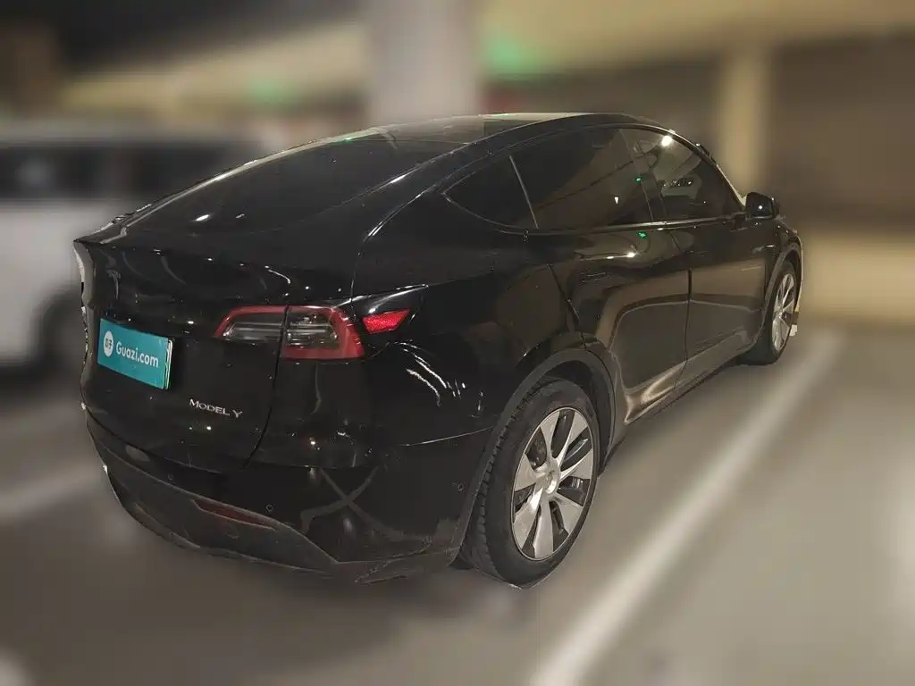 Tesla Model Y — миниатюра 4