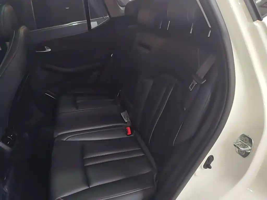 GAC Motor Trumpchi GS4 — миниатюра 17