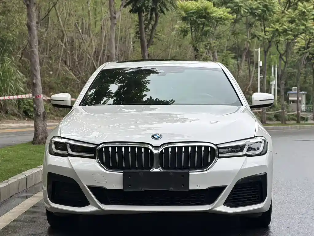 BMW 5 Series New Energy 2022