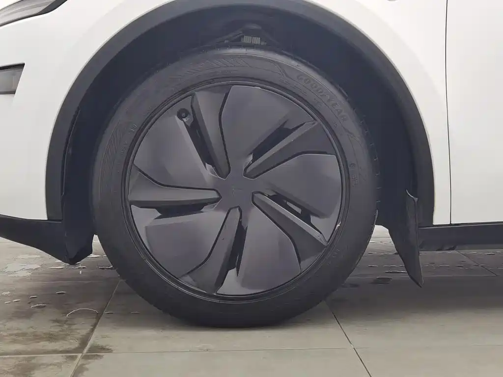 Tesla Model Y — миниатюра 17
