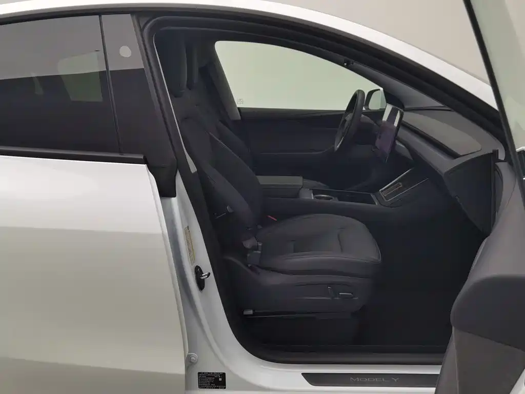 Tesla Model Y — миниатюра 23