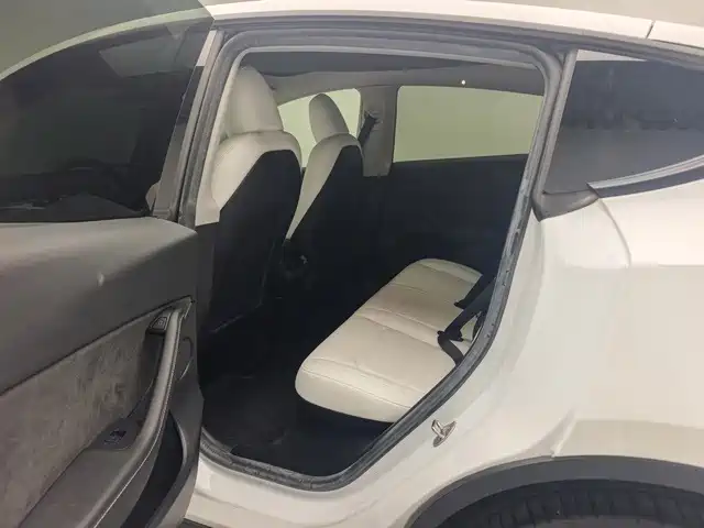 Tesla Model Y — миниатюра 6