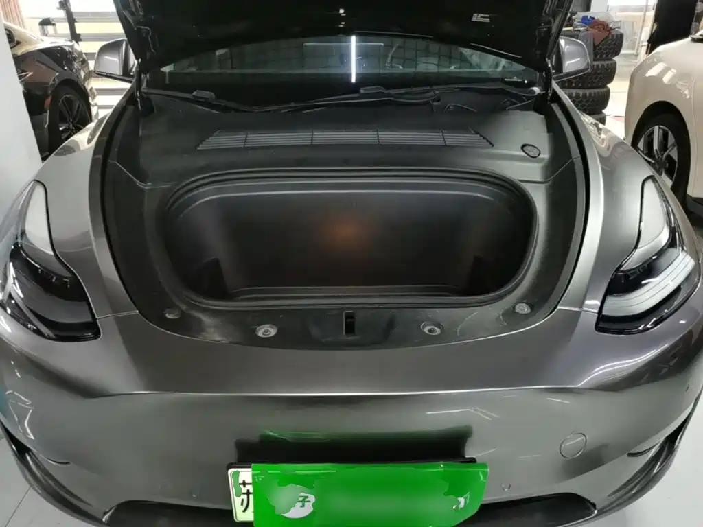 Tesla Model Y — миниатюра 20