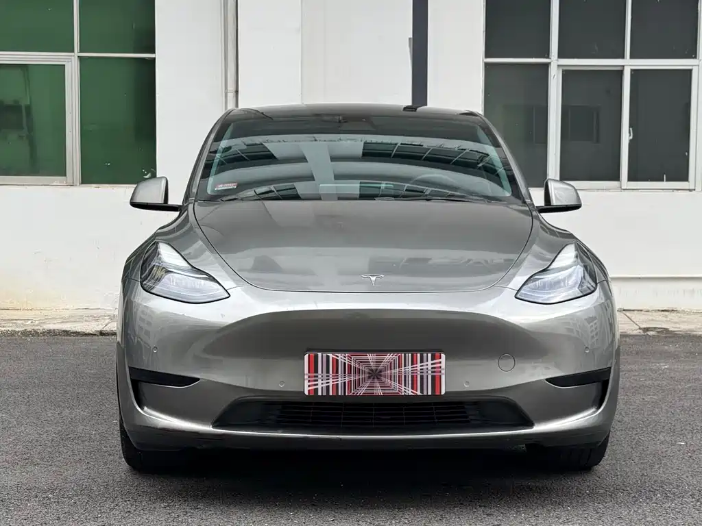Tesla Model Y — миниатюра 2