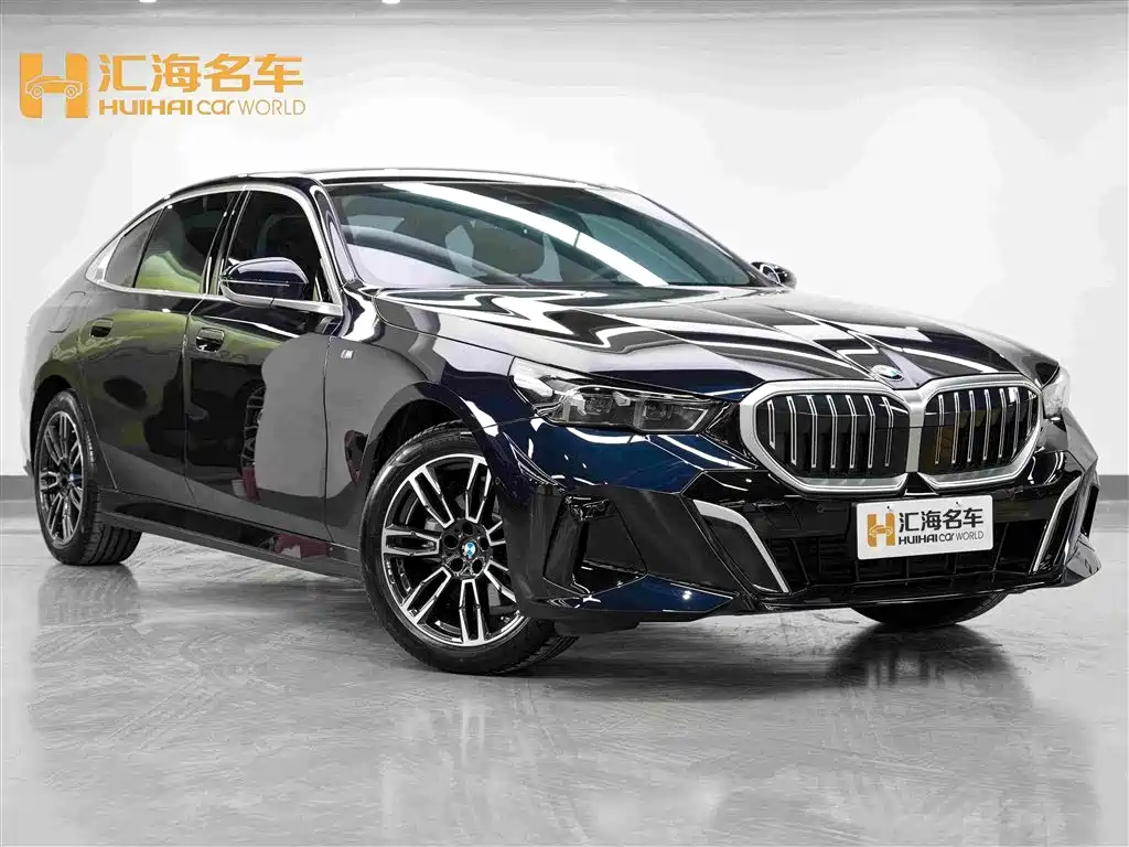 BMW 5 Series — миниатюра 3