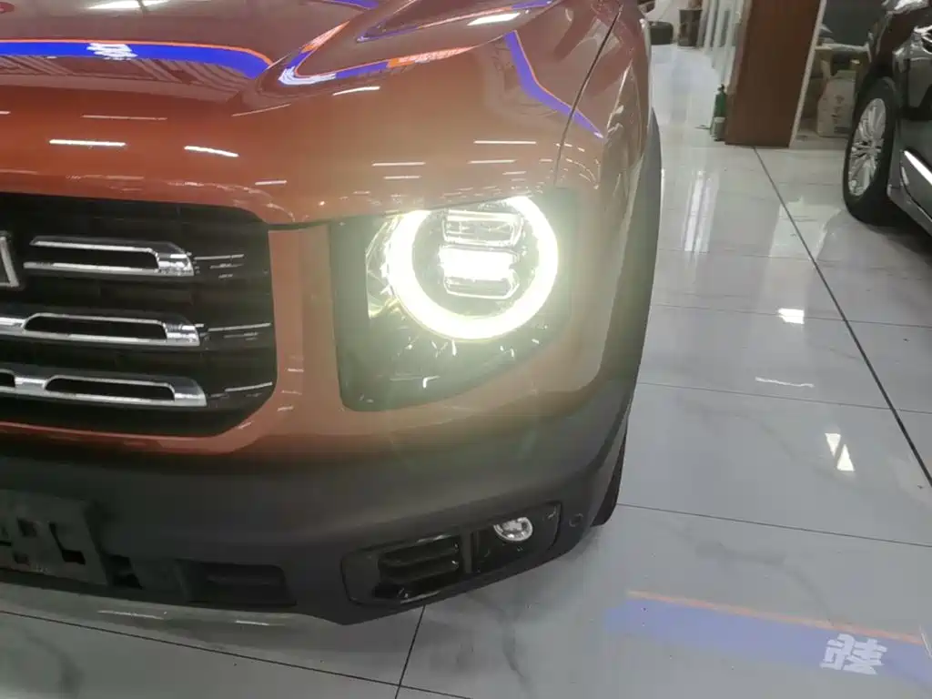 Haval Big Dog — миниатюра 24