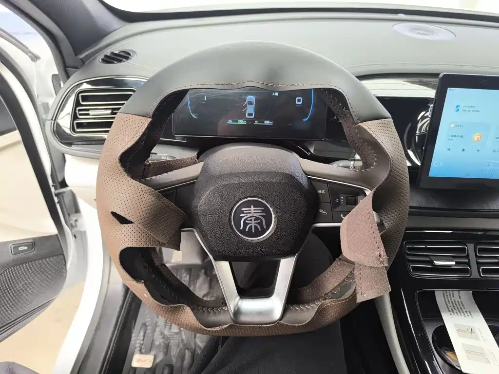 BYD Qin Plus PLUS 2024 DM-i 55KM Lead