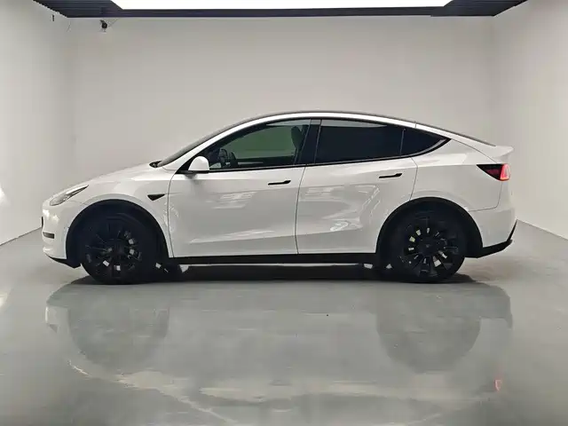 Tesla Model Y — миниатюра 11