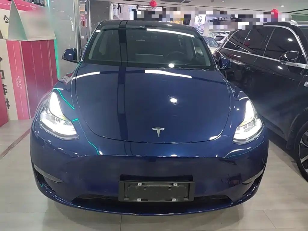 Tesla Model Y — миниатюра 3